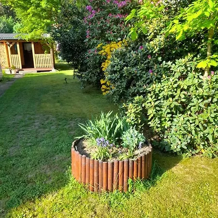 Helmig * كورورت غوريتش