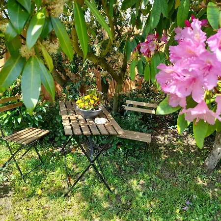 شقة Helmig كورورت غوريتش